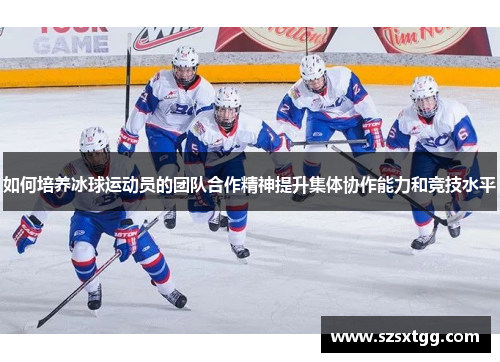 如何培养冰球运动员的团队合作精神提升集体协作能力和竞技水平