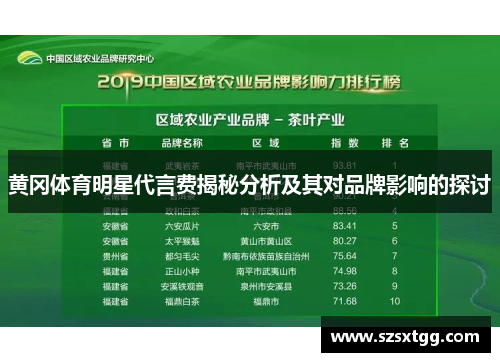 黄冈体育明星代言费揭秘分析及其对品牌影响的探讨
