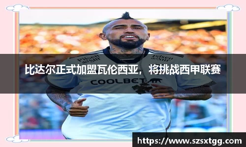 OB视讯